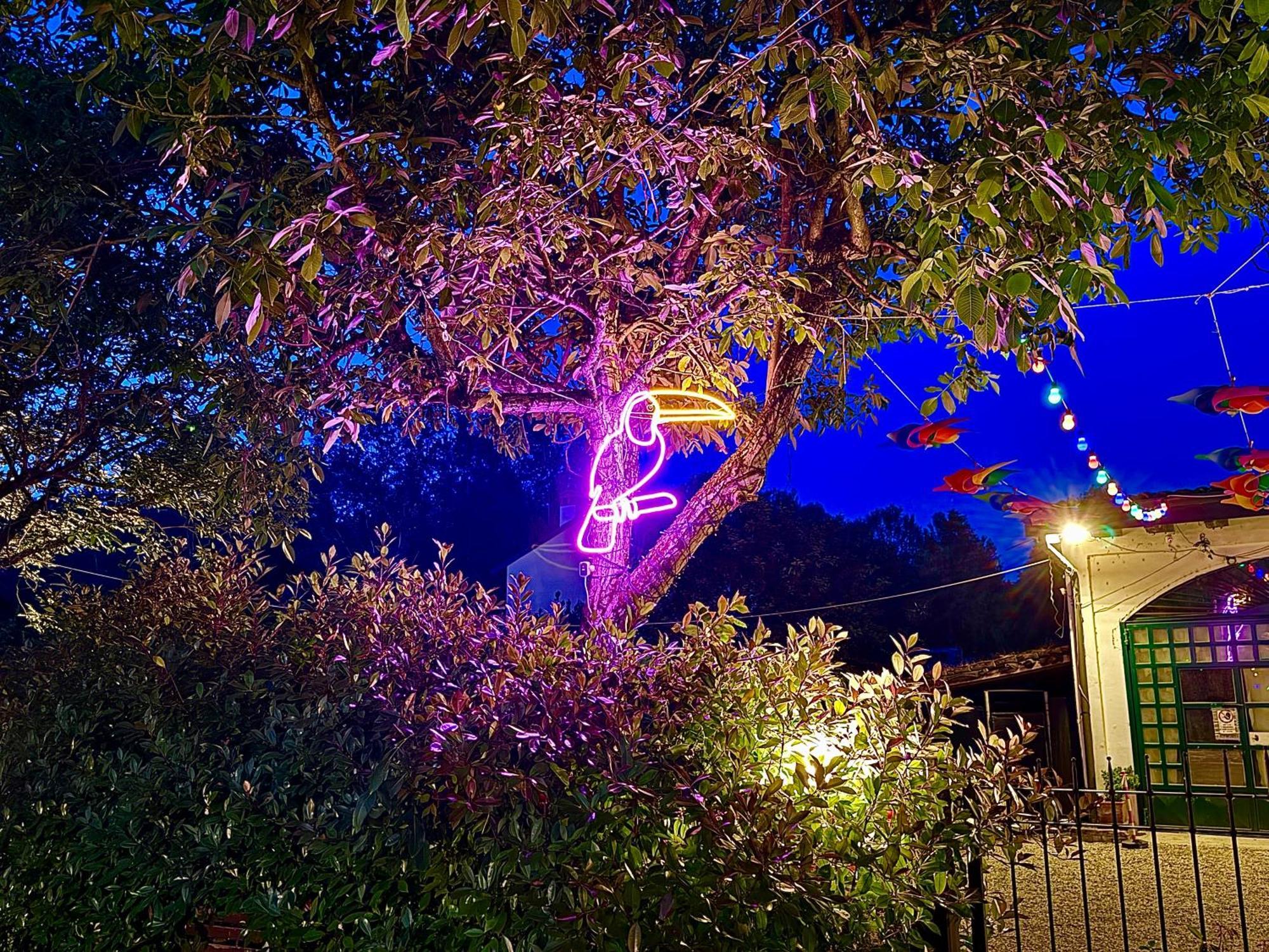 B&B La Borasca Casalpusterlengo Esterno foto